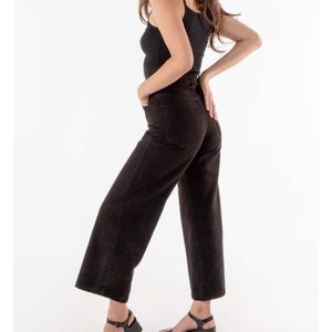 Los Angeles American Apparel High Waist Jean 27